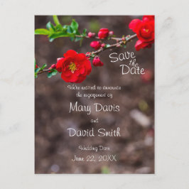 スカーレットト結婚ップ ポストカード