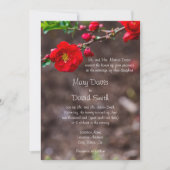 スカーレットト結婚ップ 招待状 (正面)