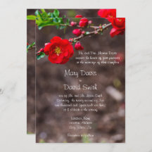 スカーレットト結婚ップ