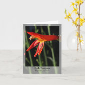 スカーレットペンステモン先住民ノテカード カード (黄色い花)