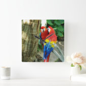 スカーレットマコー時計 スクエア壁時計 (ホーム)