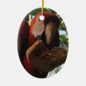 スカーレットマ食べコーパロット セラミックオーナメント (正面)