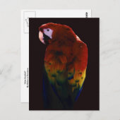 スカーレット恋しく思 ポストカード (正面/裏面)