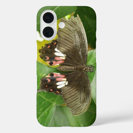 スカーレット・スワローテイル・バタフライ Case-Mate iPhoneケース (裏面)
