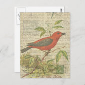 スカーレット・タナガー ヴィンテージ 鳥 小鳥ケージ トンボ ポストカード (正面/裏面)