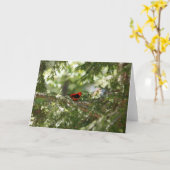 スカーレット·タネーガー カード (黄色い花)