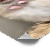 スカーレッド・ハムスター ポスター (角)