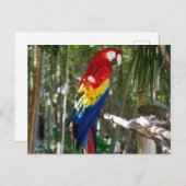 スカ素晴らしーレマコー シーズンポストカード (正面/裏面)