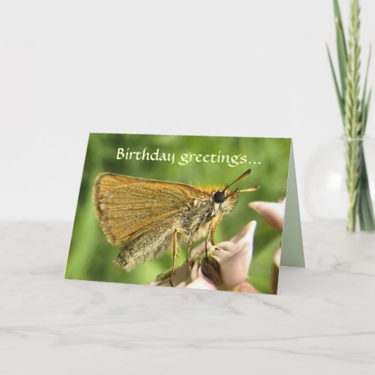 スキッパーオンミルクウィード誕生日 カード (正面)