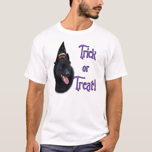 スキッパーキトリック Tシャツ (正面)