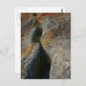 スキップ・スルー時間 ポストカード (正面/裏面)