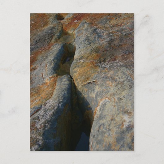 スキップ・スルー時間 ポストカード (正面)