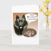 スキッペルキトルコ カード (黄色い花)