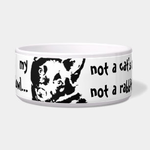 スキッペルクドッグ写真 ボウル