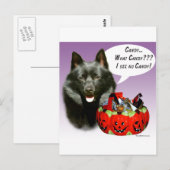 スキッペルクハロウィーンキャンディ ポストカード (正面/裏面)