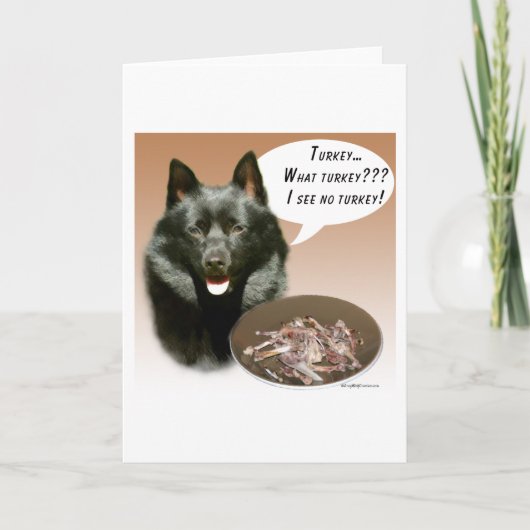 スキッペルケのトルコ カード (正面)