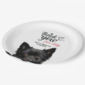 スキッペルケ犬 ペーパープレート (アングル)