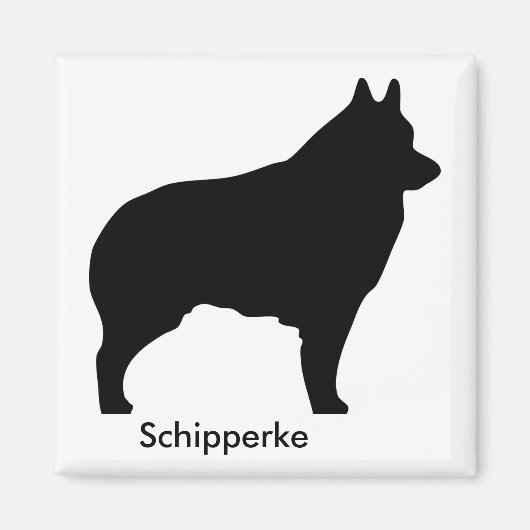 スキッペルケ磁石 マグネット (正面)