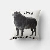 スキッペルケ クッション (裏面)