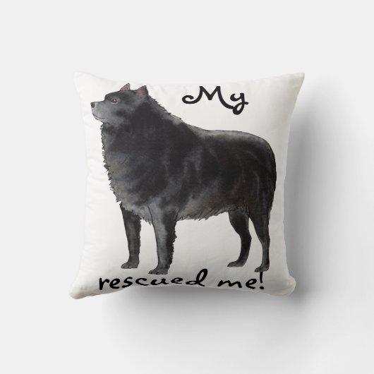 スキッペルケ クッション (裏面)