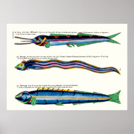 スキニーフィッシュ3枚のポスターアンティークホワイト ポスター