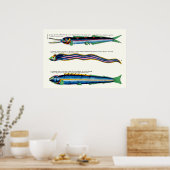 スキニーフィッシュ3枚のポスターアンティークホワイト ポスター (キッチン)