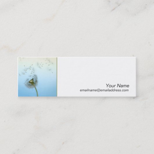 スキニープロファイルカード – ウィッシュを作る スキニー名刺 (正面)