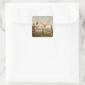 スキピオ、ロッシュ大佐のスポッテッドハンター、c.1750 (oi) スクエアシール (バッグ)