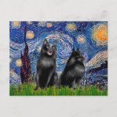 スキペルケス(2,5&6) – スターリーナイト ポストカード (正面)