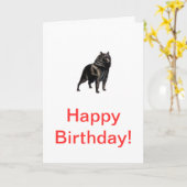 スキペルケ カード (黄色い花)