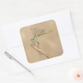 スキマートンボ昆虫雌(CC BY 4.0) スクエアシール (封筒)