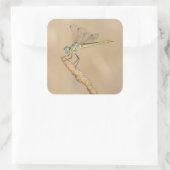 スキマートンボ昆虫雌(CC BY 4.0) スクエアシール (バッグ)