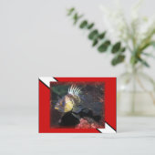 スキューバカサゴ-名刺 名刺 (スタンド正面)