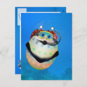 スキューバダイビングイースターエッグ シーズンポストカード (正面/裏面)