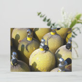 スキューバダイビング機器招待状 招待状 (スタンド正面)