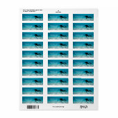 スキューバダイビング ラベル (フルシート)