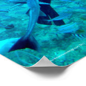 スキューバプロ ポスター (角)