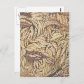 「スキン深い」 ポストカード (正面/裏面)