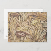 「スキン深い」 ポストカード (正面/裏面)