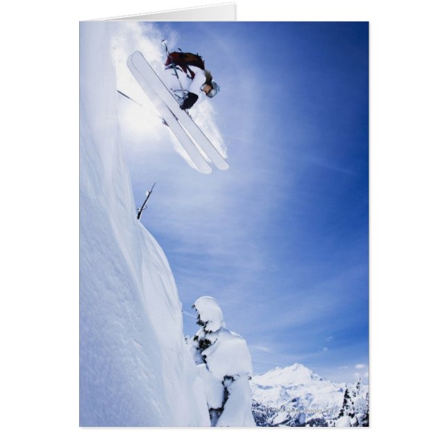 スキージャンプ (正面)