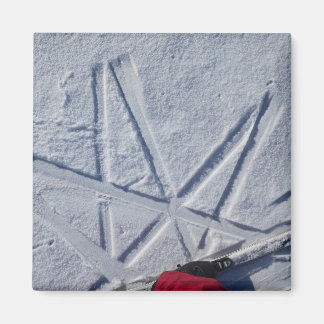 スキースターマグネット マグネット