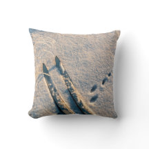 スキートラック