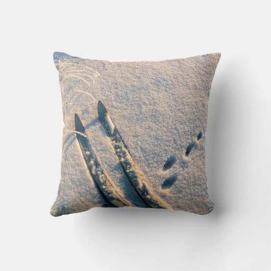 スキートラック クッション (裏面)