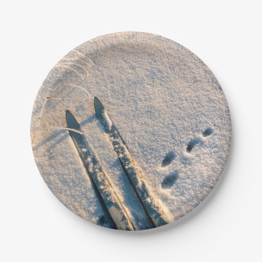 スキートラック ペーパープレート (正面)