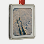 スキートラック メタルオーナメント (右)