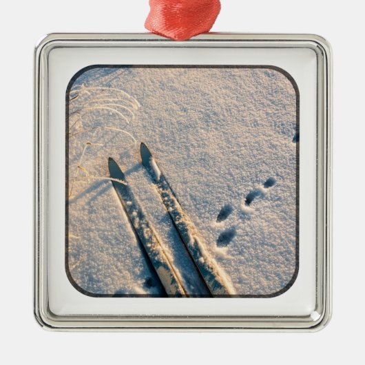 スキートラック メタルオーナメント (正面)