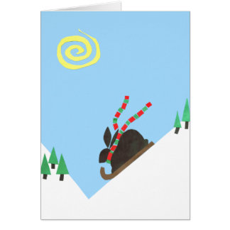 スキーバニーの平野