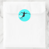 スキーパウダートレイル ラウンドシール (バッグ)