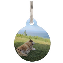 スキー ジョージ岬 ペットタグを楽しむ ペット　ネームタグ