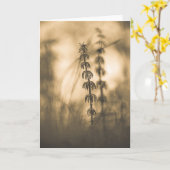 スギのセピア写真 カード (黄色い花)